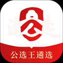 公选王遴选网app
