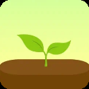 Forest专注森林苹果版