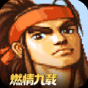 三国战纪小米版