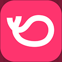 灰豚数据直播分析平台官方版