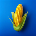 我的农场官方正版