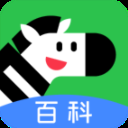 斑马百科App