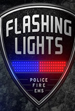 消防模拟(Flashing Lights)