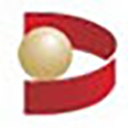 大通证券网上交易神通版