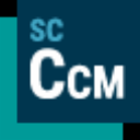 Siemens Star CCM+ 2510