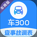 车300专业版官方版
