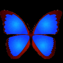 bkViewer图片浏览器