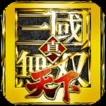 真三国无双天下