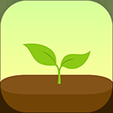 Forest App