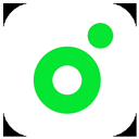 melon官方正版