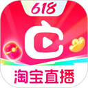 点淘电脑版「含模拟器」