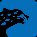 飞豹出行司机端app