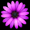 TextMate for mac(文本编辑器)