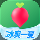 叮咚买菜官方版