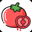 番茄轻断食app