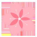 搞机工具箱PC版