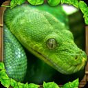 蟒蛇模拟器手机版