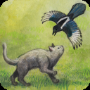 米洛和喜鹊手游