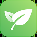 新榜小豆芽电脑版