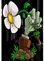 植物大战僵尸转基因版