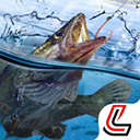 天天钓鱼官方正版