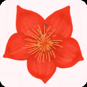 爱我崇左app官方最新版